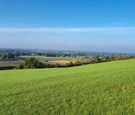 Dast in Brochterbeck