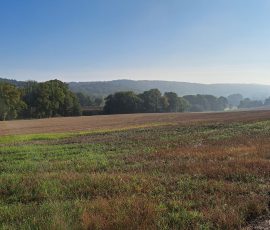Dast in Brochterbeck