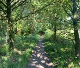 Teutoburger Wald in Brochterbeck