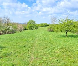 Die Dast in Brochterbeck Die Dast in Brochterbeck