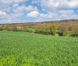 Die Dast in Brochterbeck Die Dast in Brochterbeck