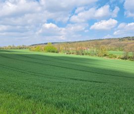 Die Dast in Brochterbeck Die Dast in Brochterbeck