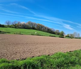 Die Dast in Brochterbeck Die Dast in Brochterbeck