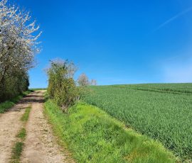 Die Dast in Brochterbeck Die Dast in Brochterbeck