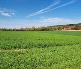 Die Dast in Brochterbeck