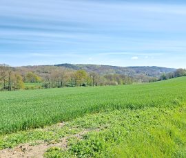 Die Dast in Brochterbeck Die Dast in Brochterbeck