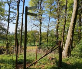 Die Dast in Brochterbeck Die Dast in Brochterbeck